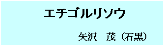 テキスト ボックス: エチゴルリソウ
矢沢 茂(石黒)